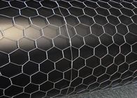 Low Carbon Steel Galvanized Hexagonal Wire Mesh 35kg/M2 Large Size Twist Mesh
